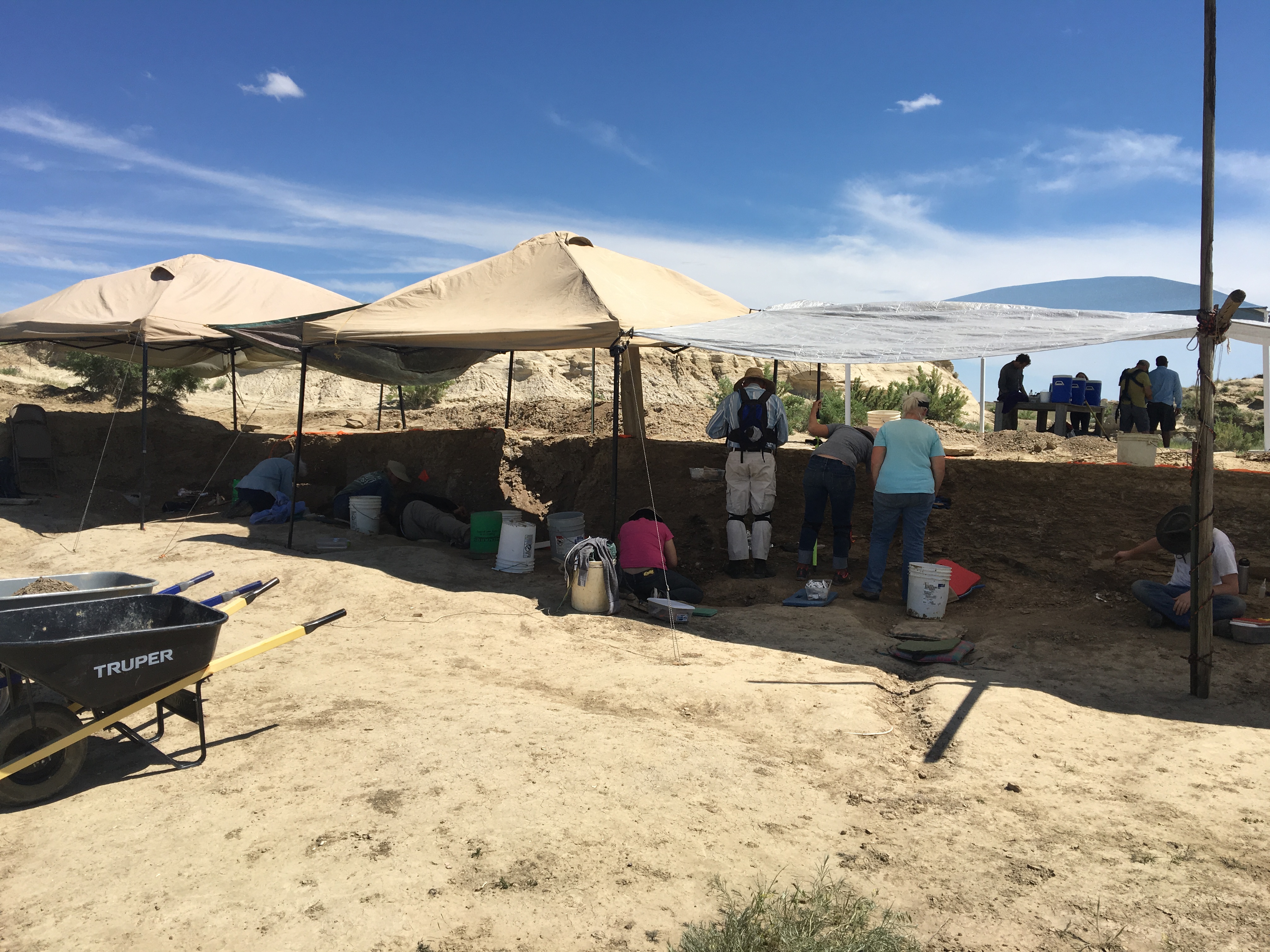 dinosaur dig in wyoming