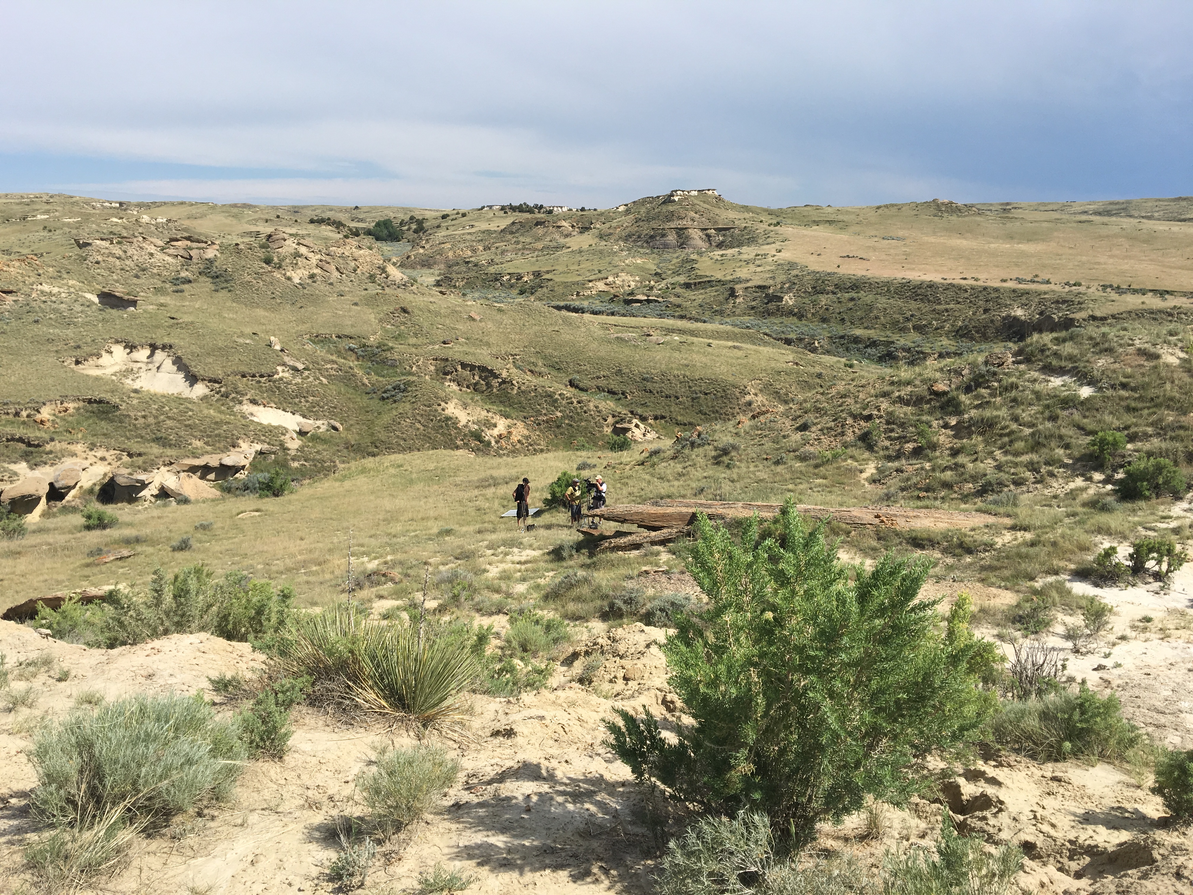 dinosaur dig in wyoming