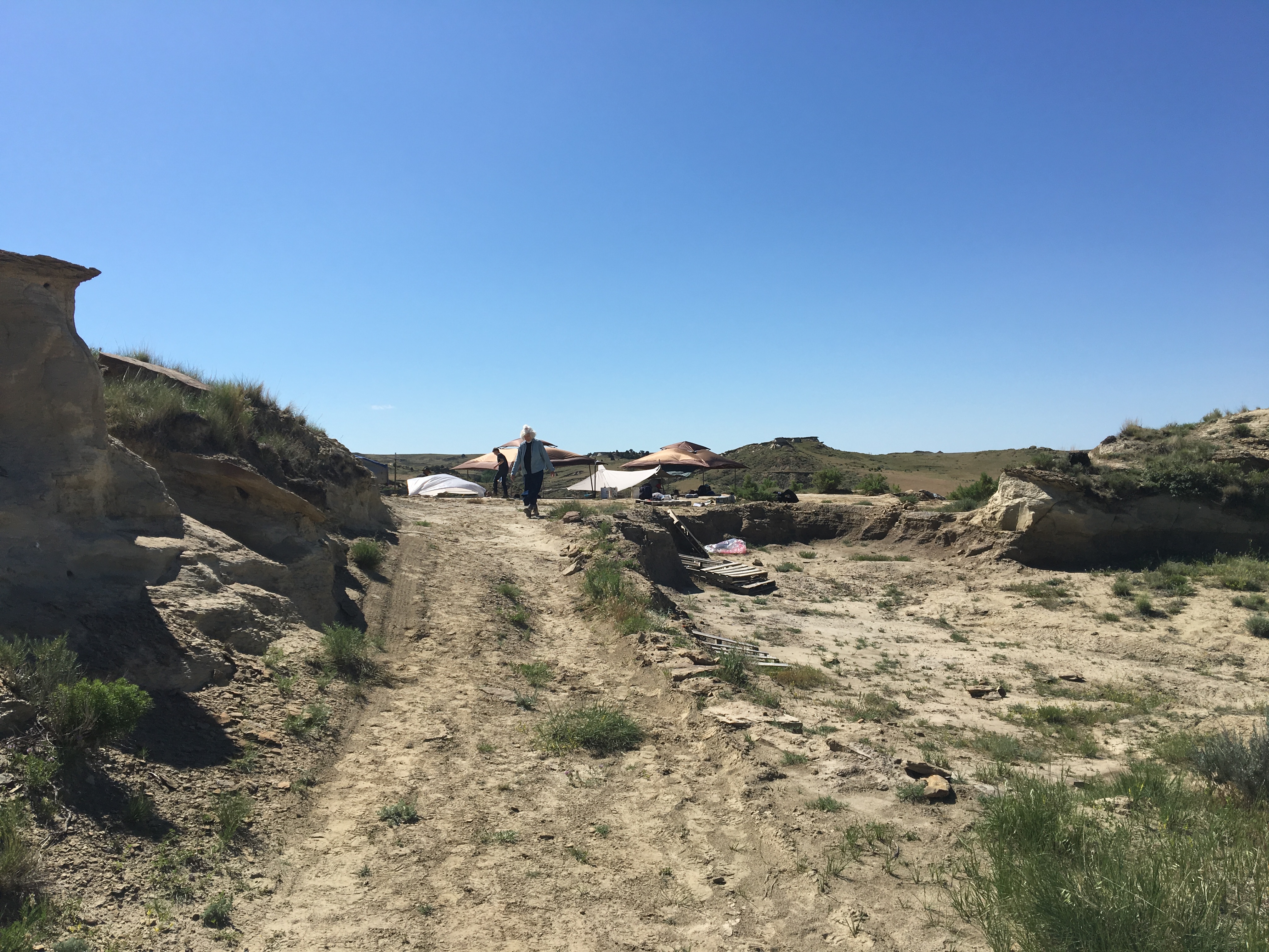 dinosaur dig in wyoming