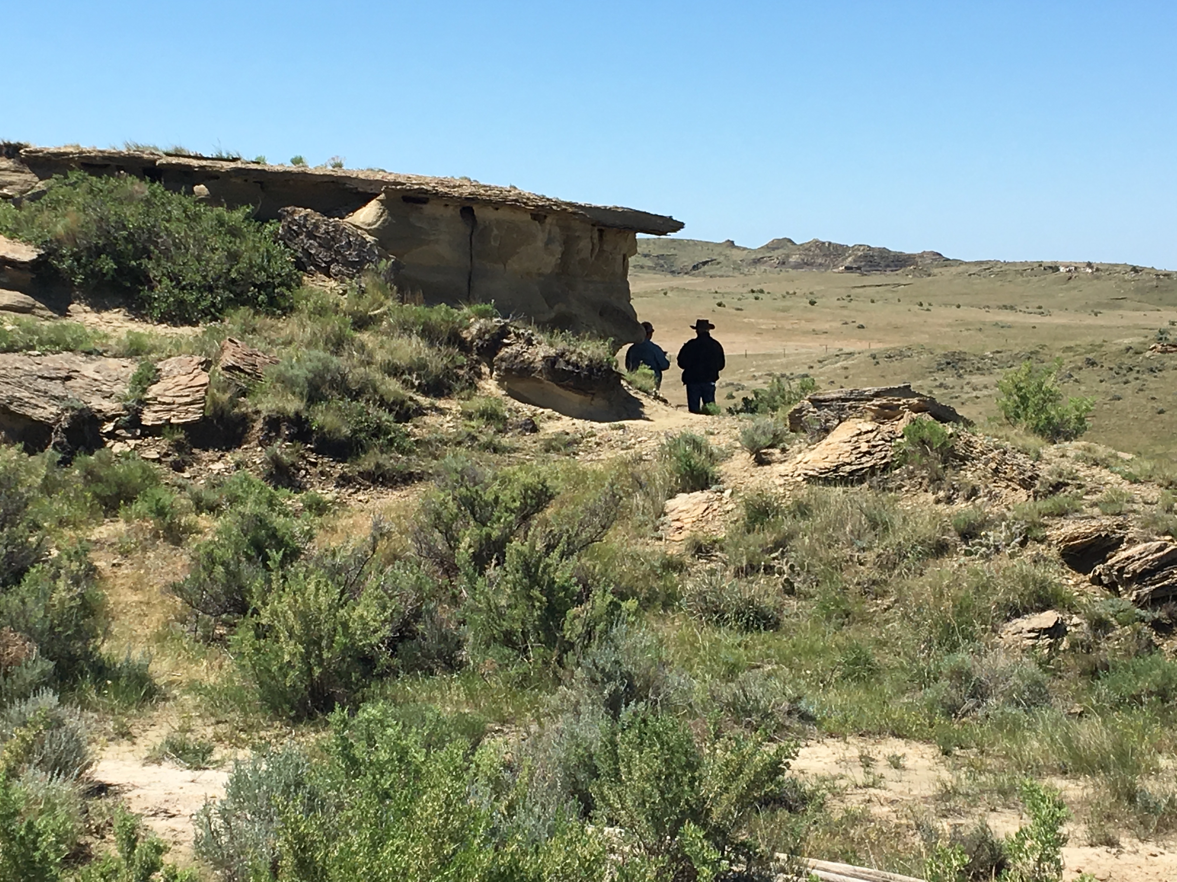 dinosaur fossil dig sites